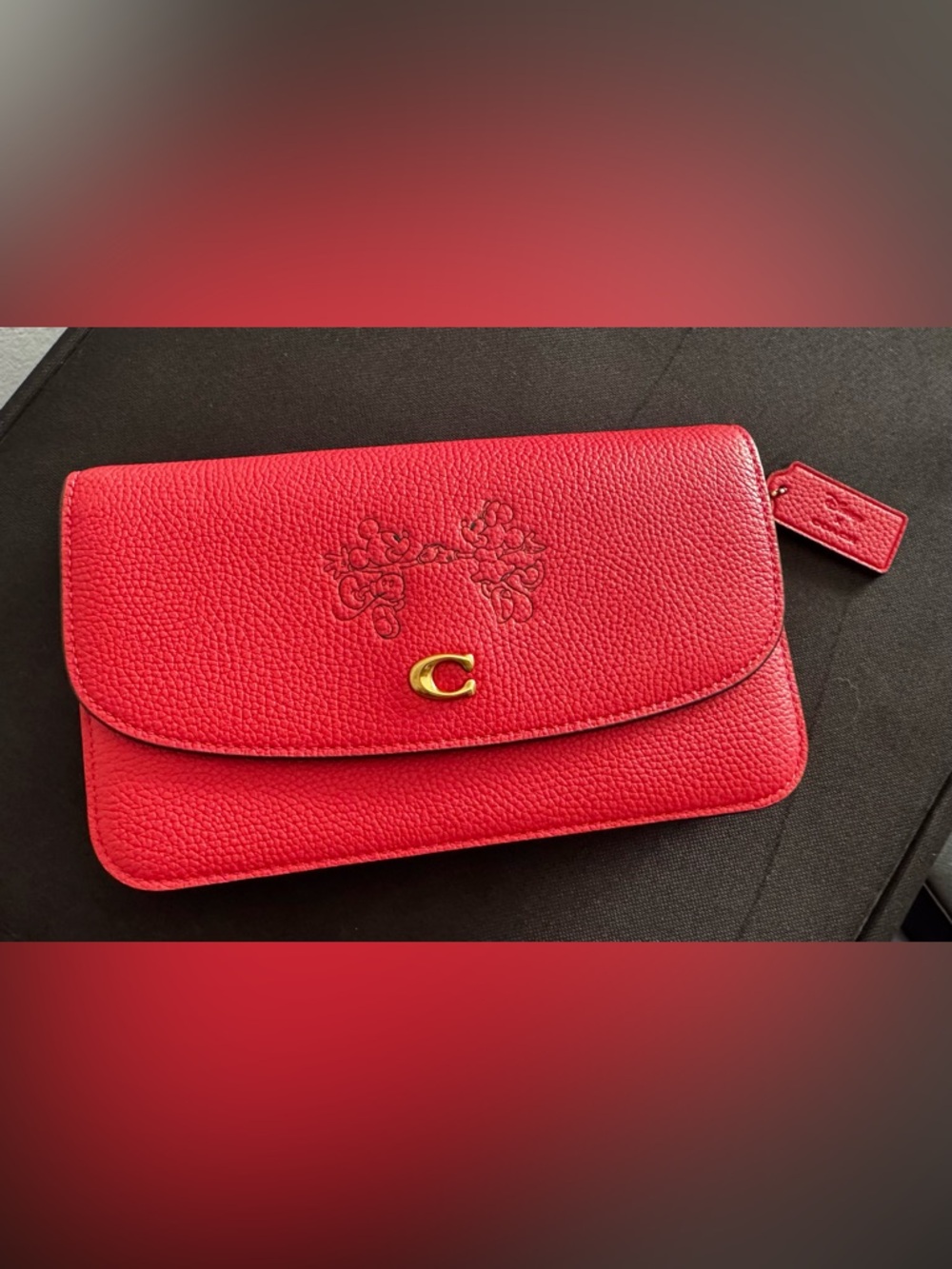 Coach Disney X Hayden Foldover Crossbody bag featuring Mickey and Minnie Mouse